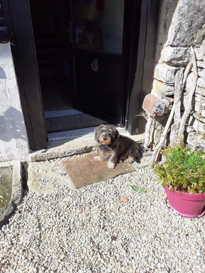 La Grange Bed & Breakfast Promilhanes Bagian luar foto