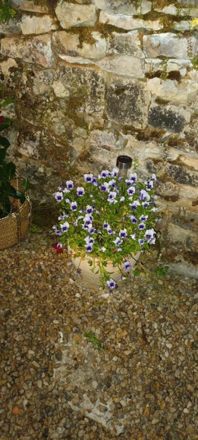 La Grange Bed & Breakfast Promilhanes Bagian luar foto